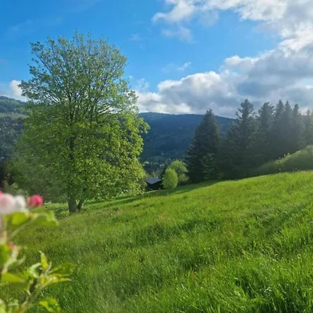 펜션 House In Vosges Near Cascades Du Gerhard, Cleaning Included