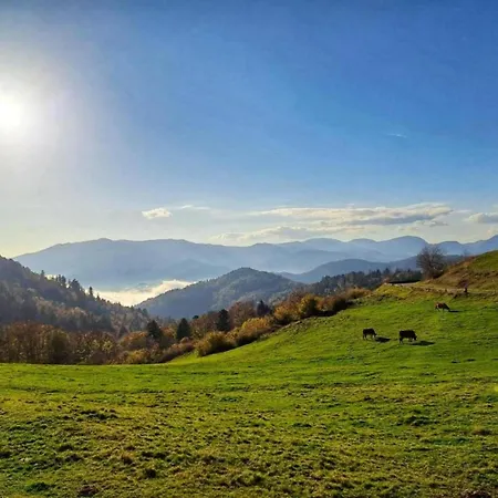 펜션 House In Vosges Near Cascades Du Gerhard, Cleaning Included *