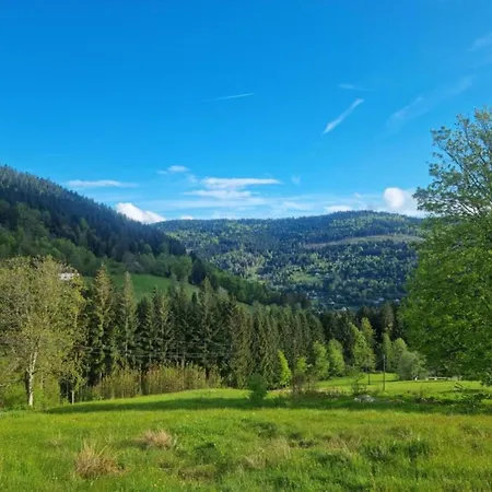 House In Vosges Near Cascades Du Gerhard, Cleaning Included * Girmont-Val-dʼAjol