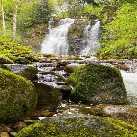 House In Vosges Near Cascades Du Gerhard, Cleaning Included * Girmont-Val-dʼAjol